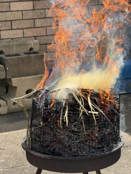 0154710B-45EF-4855-B4C8-13B92B165806-scaled