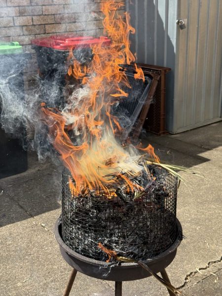 18D2FE9E-8D23-43B2-9F21-69942C467813-scaled