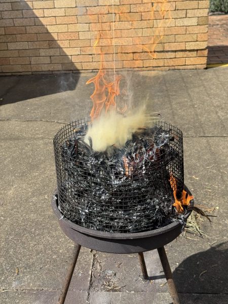 81D3CA9D-09A0-4054-893C-CBE4D7D3AA5D-scaled